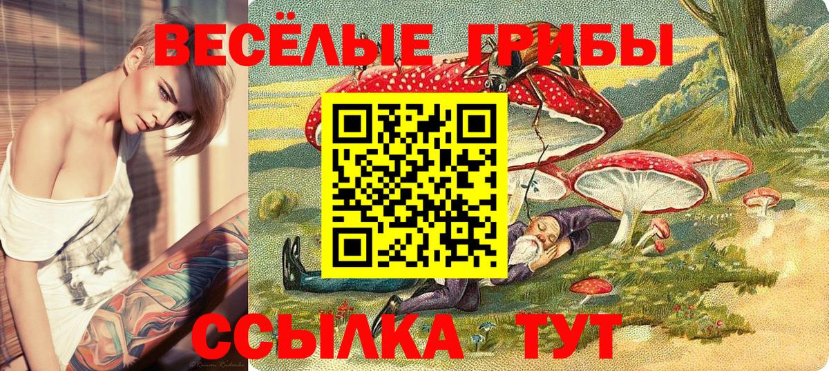 Гашиш  Борзя  Вход с VPN  COCAIN  Марихуана  НБОМе  Мефедрон   МЕФ  ГАШ  MDMA 