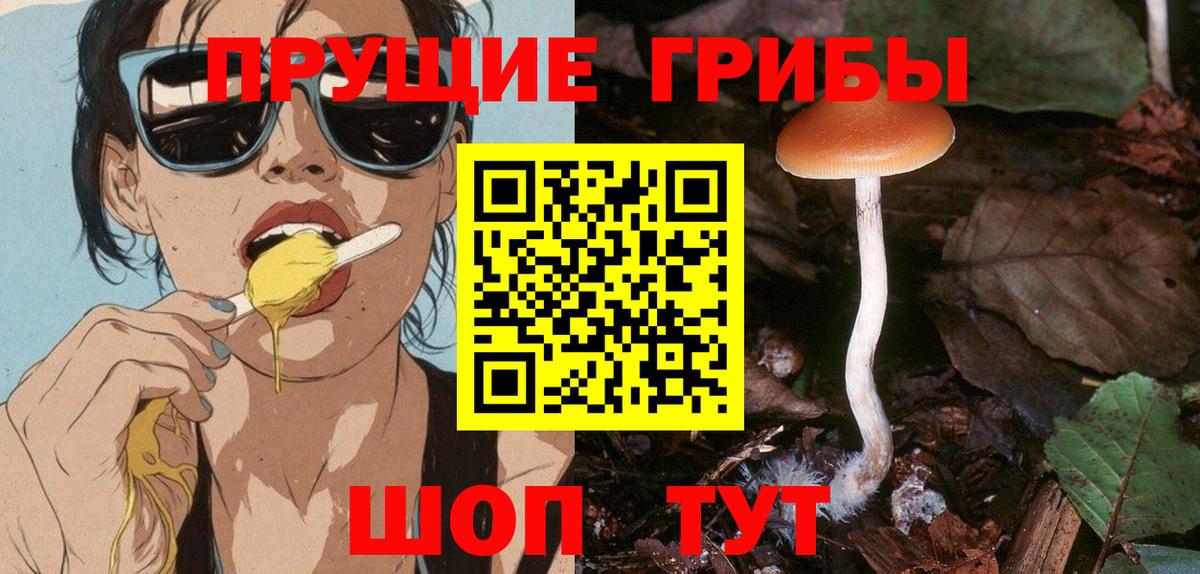 Борзя  Псилоцибиновые грибы MAGIC MUSHROOMS  где найти наркотики  Вход с VPN 