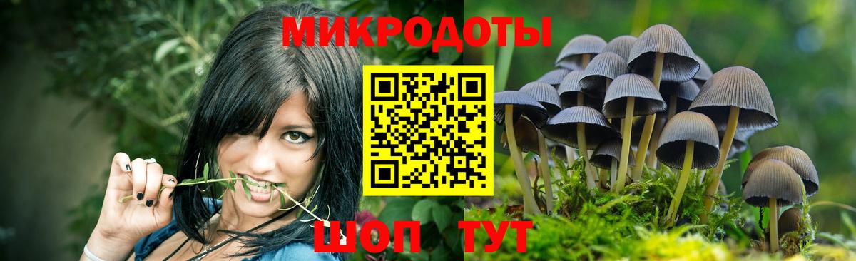 Галлюциногенные грибы Cubensis Борзя